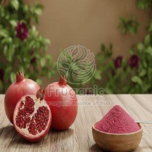 Spray Dried Pomegranate Powder