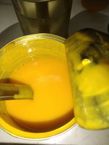3.1 Kg Doer Totapuri Mango Pulp