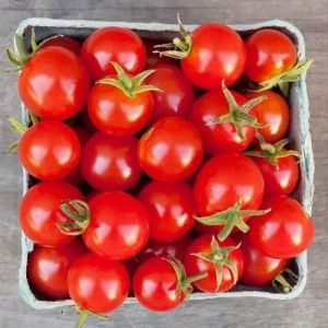 Fresh Organic Red Tomato