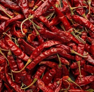 PREMIUM RED CHILLI