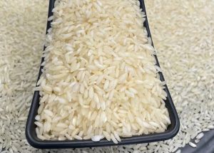 Swarna Rice