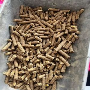 Boiler Grade Biofuel Pellets