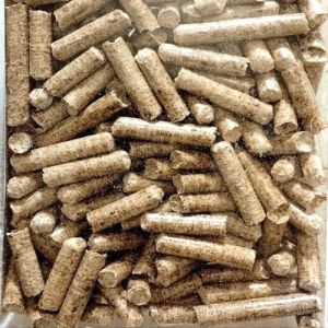 Non Torrefied Eco Pellets