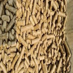 Non Torrefied Heating Pellets