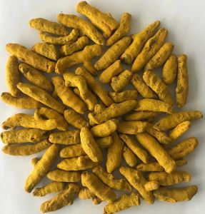 Premium Salem Turmeric Finger