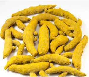 Superior Salem Turmeric