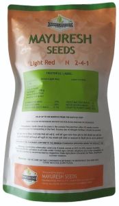 500gm N 241 Light Red Onion Seeds
