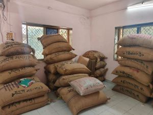 Poona Fursungi Red Onion Seeds