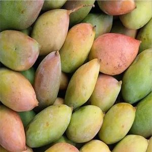 A Grade Fresh Totapuri Mango