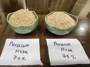 70% Psyllium Husk Powder