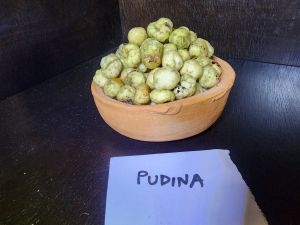 Pudina Flavoured Roasted Makhana