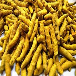Single Polished Turmeric Finger