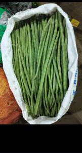 A Grade Green Drumstick