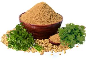 Coriander Powder