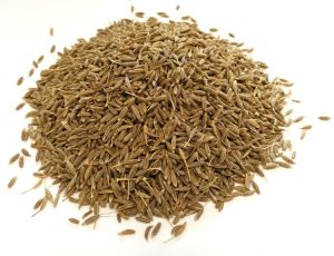 Cumin Seeds