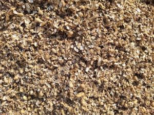 Dry Groundnut Shell Husk