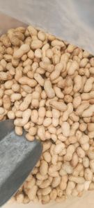 Shelled Groundnuts