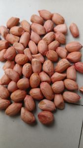 Groundnut Seeds