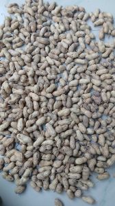 Shelled Groundnuts