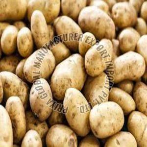 Fresh Brown Potato