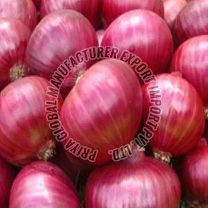 Fresh Red Onion