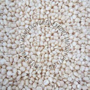 White Maize Seeds
