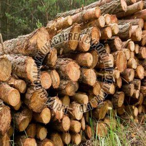 Wooden Logs