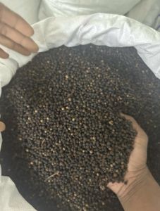 Black Pepper Seeds