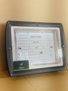 50 Watt LED Flood Light