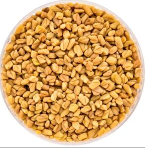 Fenugreek Seed