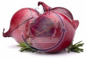 35mm Nashik A Grade Red Onion