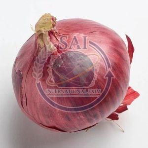 70mm Jumbo Size Nashik Red Onion