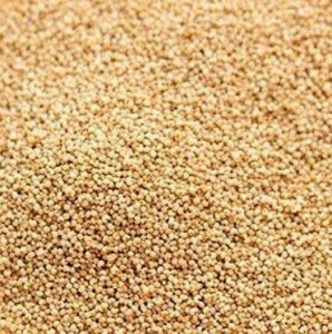 Brown Poppy Seedsbrown Poppy Seeds