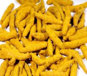 Dried Turmeric Finger