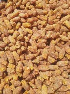 Yellow Dry Dates