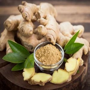 Dehydrated Ginger Powder