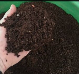 Vermicompost