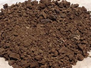 Cow Dung Powder
