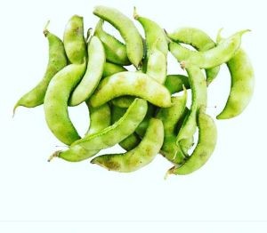 Green Val Papdi Bean