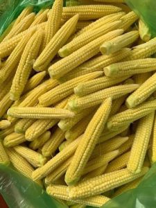 Fresh Baby Corn
