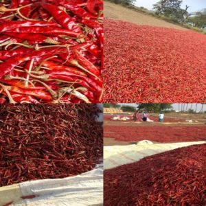 Dried Teja Red Chilli