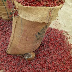 Dried Teja Red Chilli