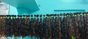 Bulk Hair