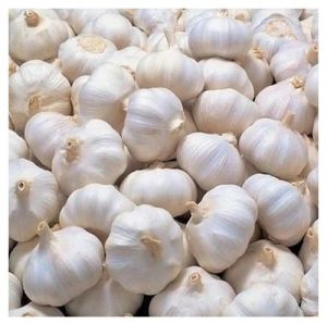 A Grade White Garlic