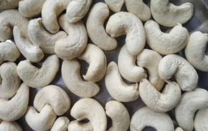 A1 Grade Cashew Nut