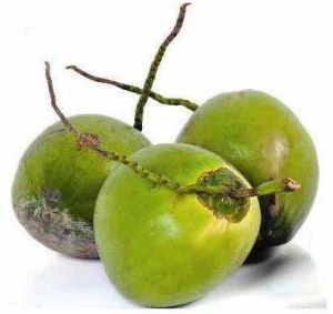 Organic Tender Coconut