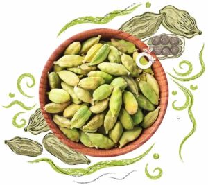 Spice Grade Green Cardamom