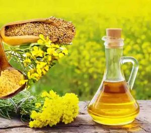 Cold Pressed Mustard Oil