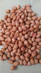 Groundnut