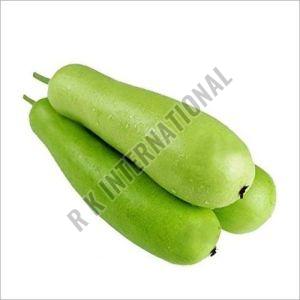 Fresh Bottle Gourd